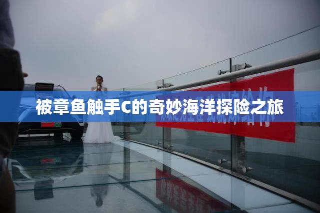 被章鱼触手C的奇妙海洋探险之旅