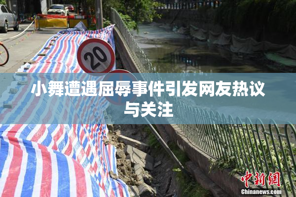 小舞遭遇屈辱事件引发网友热议与关注