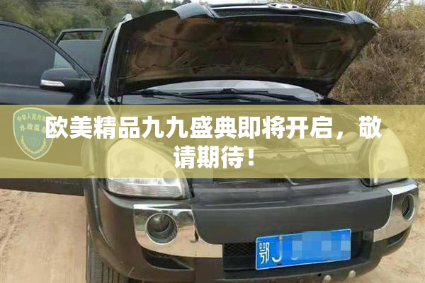 欧美精品九九盛典即将开启，敬请期待！