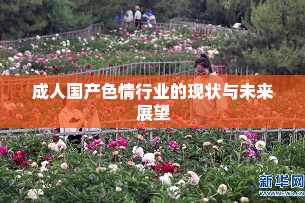 成人国产色情行业的现状与未来展望