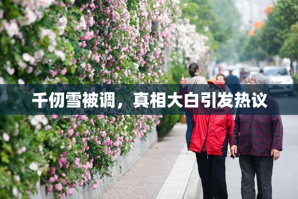 千仞雪被调，真相大白引发热议