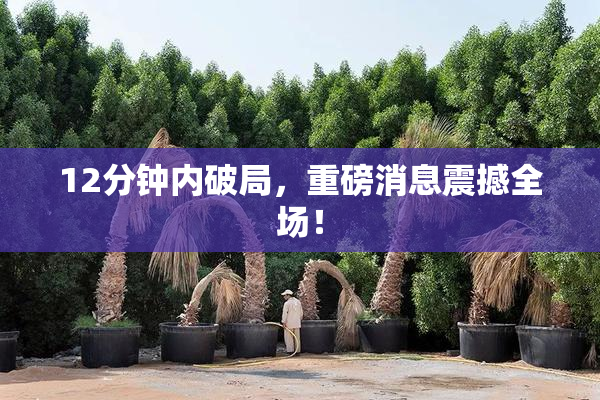 12分钟内破局，重磅消息震撼全场！