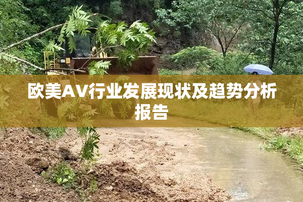 欧美AV行业发展现状及趋势分析报告