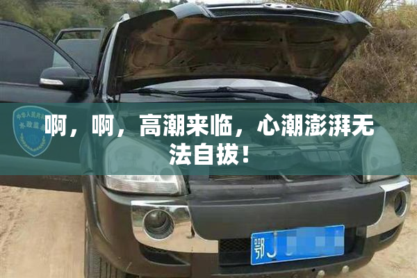 啊，啊，高潮来临，心潮澎湃无法自拔！
