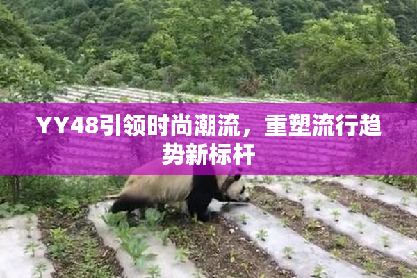 YY48引领时尚潮流，重塑流行趋势新标杆