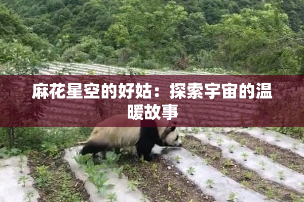 麻花星空的好姑：探索宇宙的温暖故事