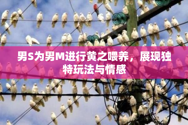 男S为男M进行黄之喂养，展现独特玩法与情感