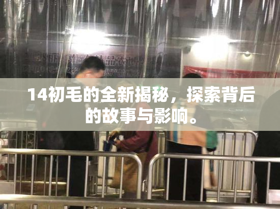 14初毛的全新揭秘，探索背后的故事与影响。
