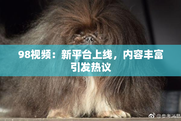 98视频：新平台上线，内容丰富引发热议