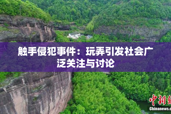 触手侵犯事件：玩弄引发社会广泛关注与讨论