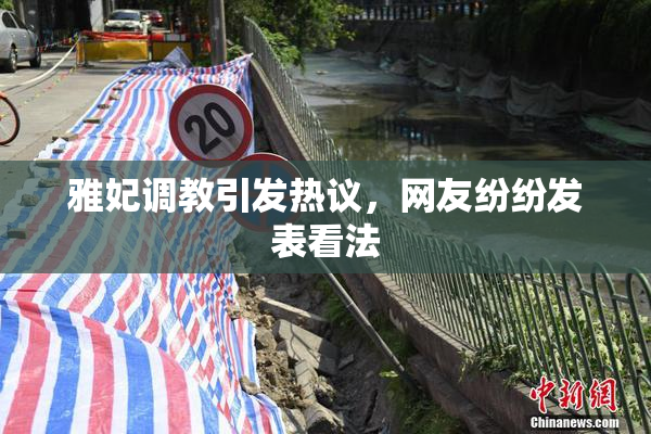 雅妃调教引发热议，网友纷纷发表看法