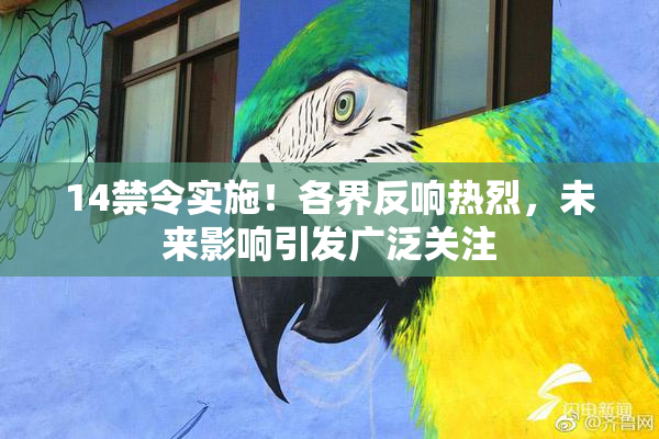 14禁令实施！各界反响热烈，未来影响引发广泛关注