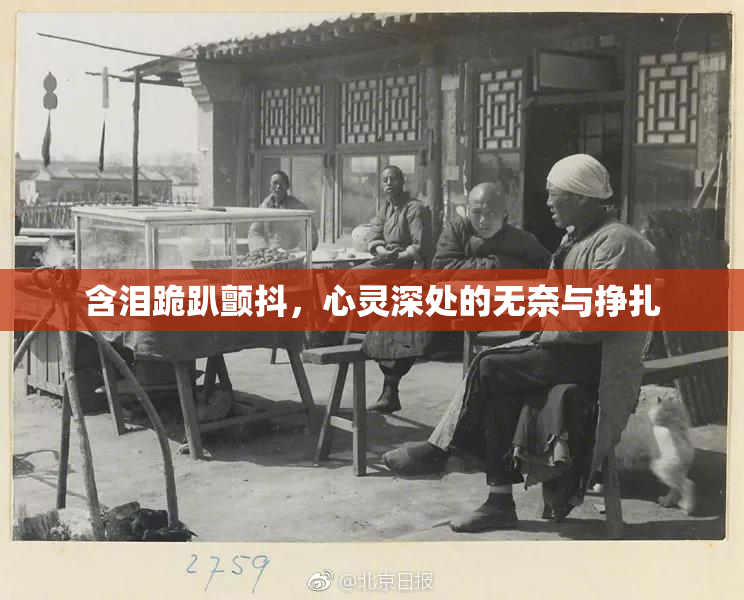 含泪跪趴颤抖，心灵深处的无奈与挣扎