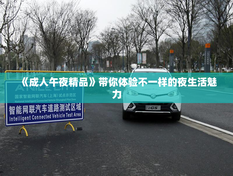 《成人午夜精品》带你体验不一样的夜生活魅力
