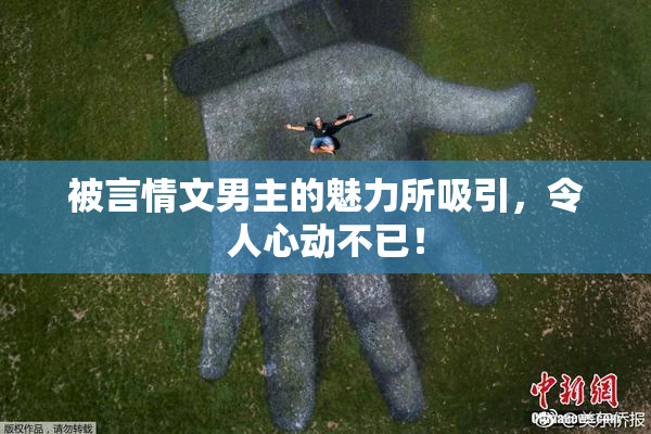 被言情文男主的魅力所吸引，令人心动不已！