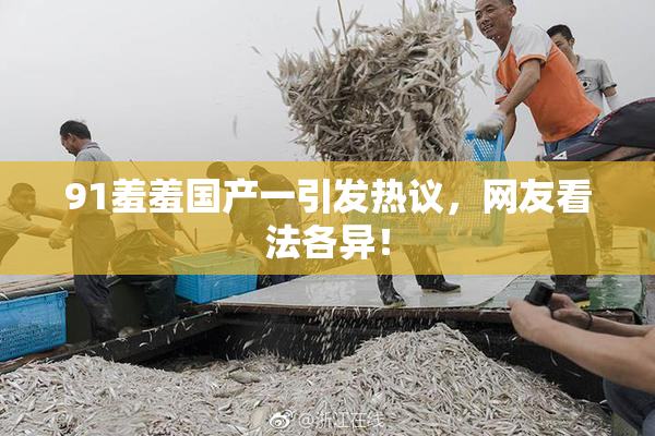 91羞羞国产一引发热议，网友看法各异！