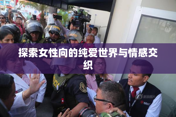 探索女性向的纯爱世界与情感交织