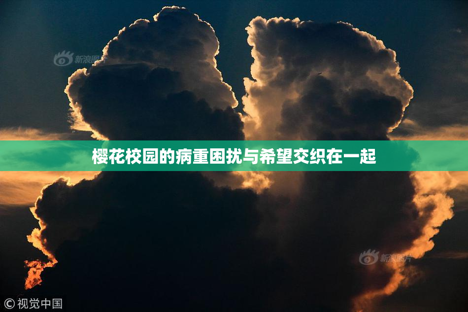 樱花校园的病重困扰与希望交织在一起