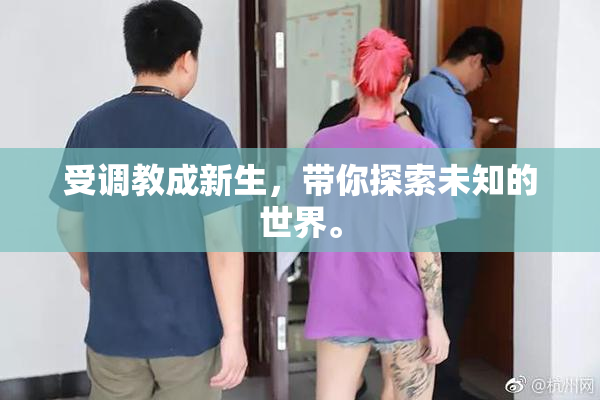 受调教成新生，带你探索未知的世界。
