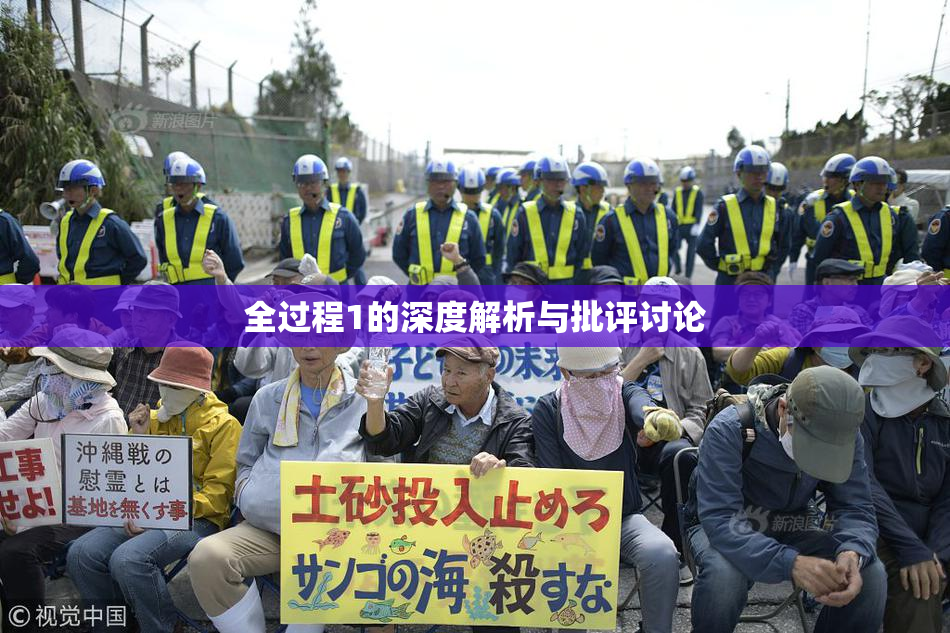 全过程1的深度解析与批评讨论