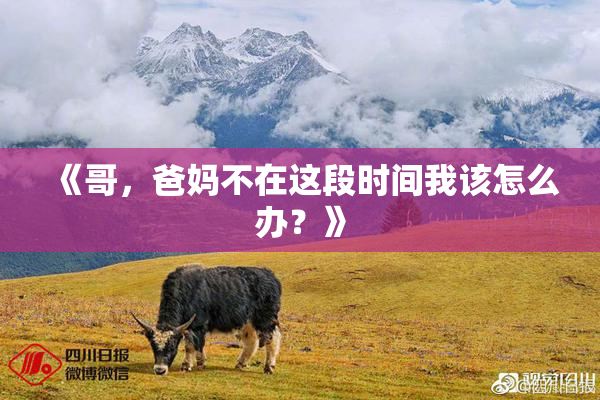 《哥，爸妈不在这段时间我该怎么办？》