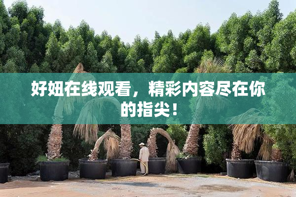 好妞在线观看，精彩内容尽在你的指尖！