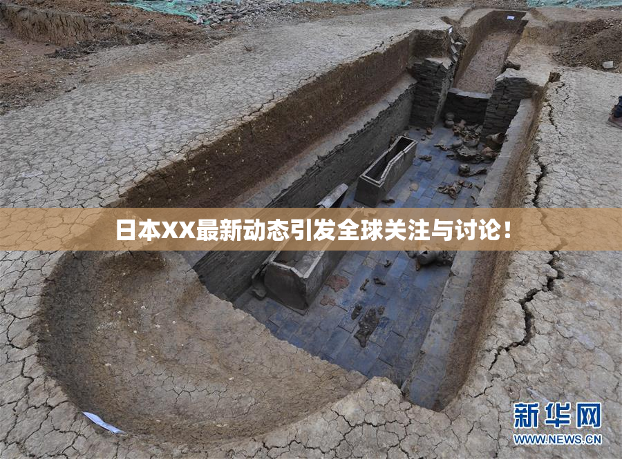 日本XX最新动态引发全球关注与讨论！