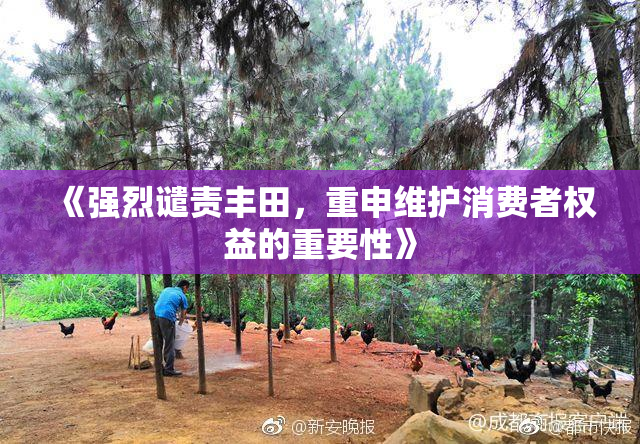 《强烈谴责丰田，重申维护消费者权益的重要性》