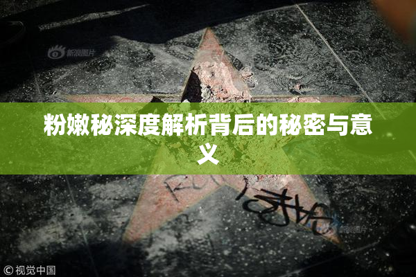 粉嫩秘深度解析背后的秘密与意义