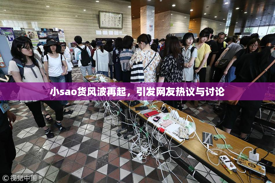 小sao货风波再起，引发网友热议与讨论