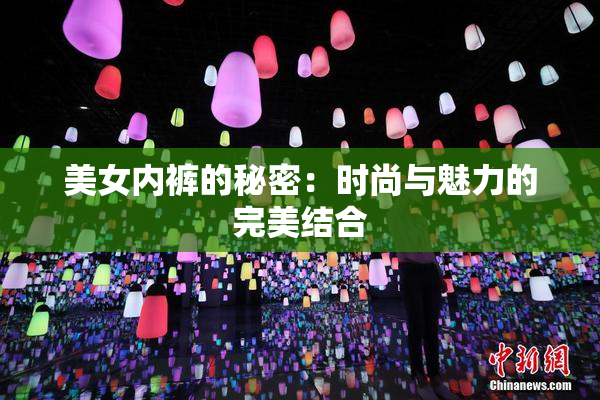 美女内裤的秘密：时尚与魅力的完美结合