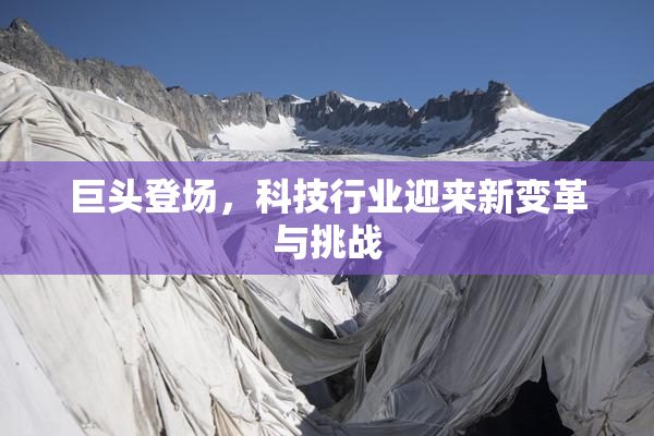 巨头登场，科技行业迎来新变革与挑战