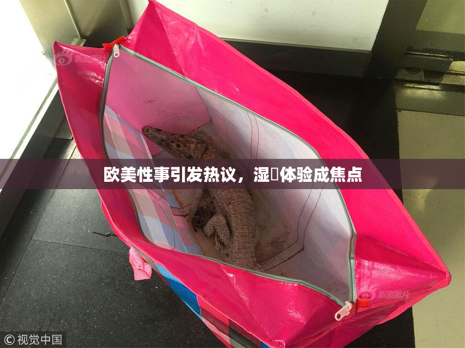 欧美性事引发热议，湿潤体验成焦点