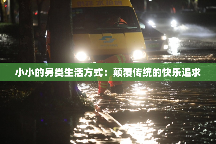 小小的另类生活方式：颠覆传统的快乐追求