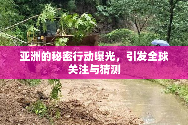 亚洲的秘密行动曝光，引发全球关注与猜测
