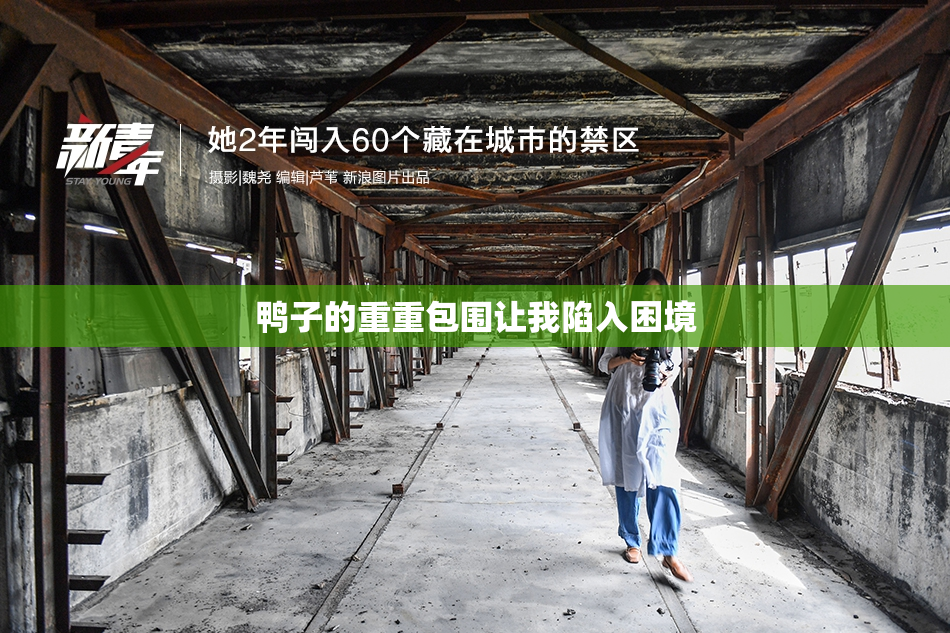 鸭子的重重包围让我陷入困境