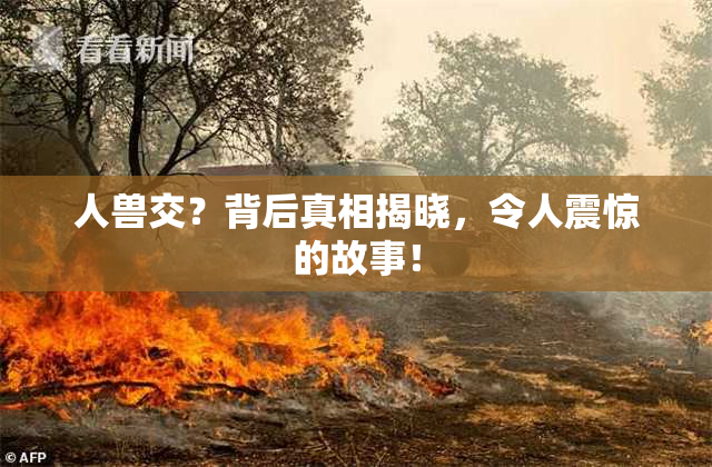 人兽交？背后真相揭晓，令人震惊的故事！