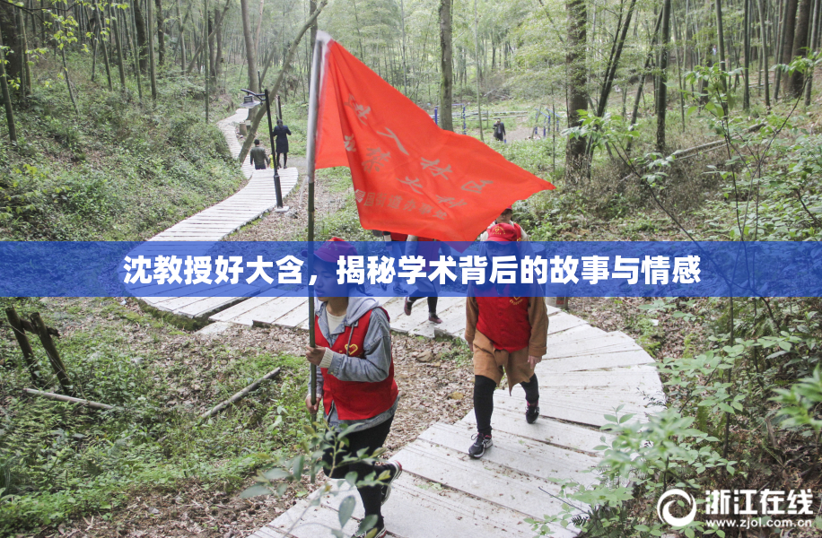 沈教授好大含，揭秘学术背后的故事与情感