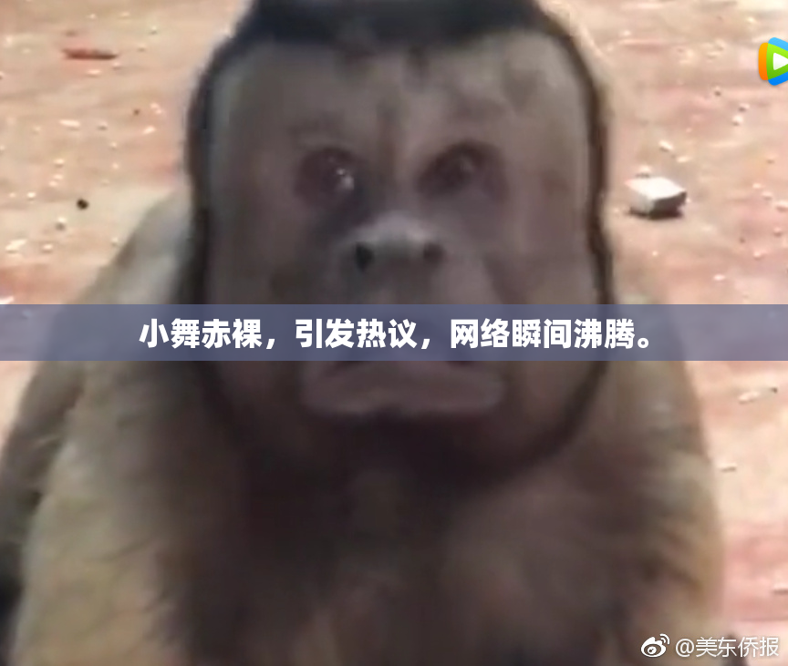 小舞赤裸，引发热议，网络瞬间沸腾。