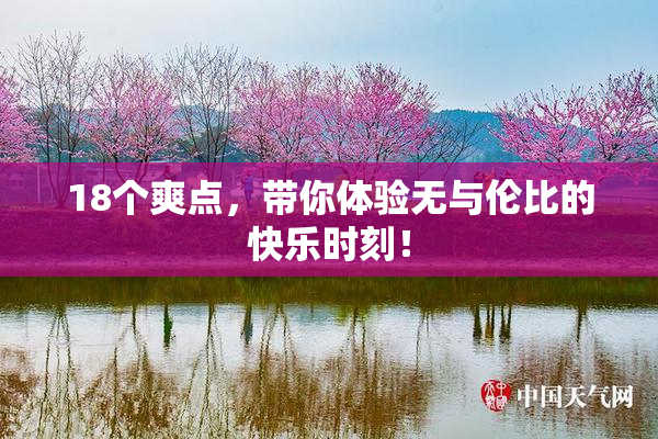 18个爽点，带你体验无与伦比的快乐时刻！