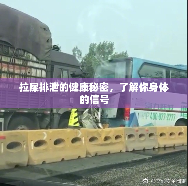拉屎排泄的健康秘密，了解你身体的信号