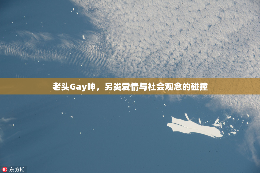 老头Gay呻，另类爱情与社会观念的碰撞