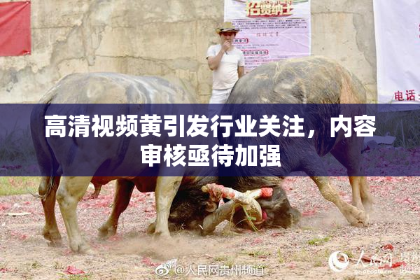 高清视频黄引发行业关注，内容审核亟待加强