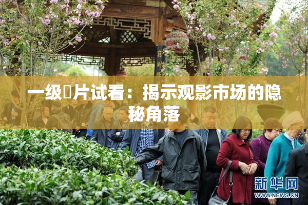 一级婬片试看：揭示观影市场的隐秘角落