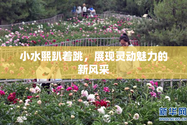 小水熙趴着跳，展现灵动魅力的新风采