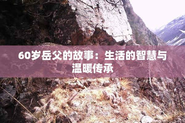 60岁岳父的故事：生活的智慧与温暖传承