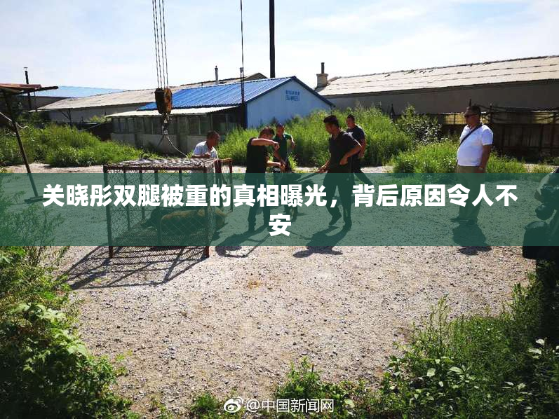 关晓彤双腿被重的真相曝光，背后原因令人不安