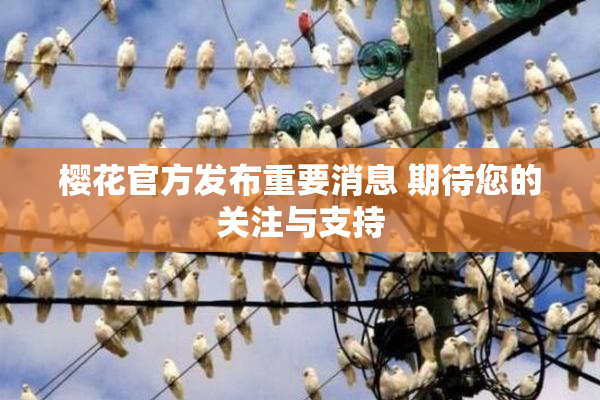 樱花官方发布重要消息 期待您的关注与支持