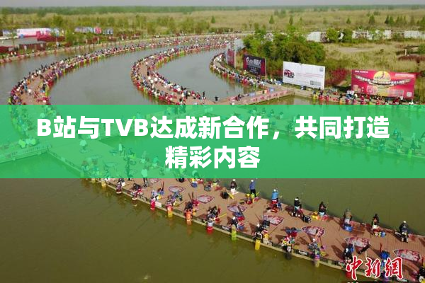 B站与TVB达成新合作，共同打造精彩内容