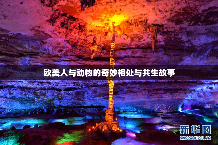 欧美人与动物的奇妙相处与共生故事